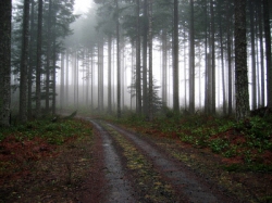 Seiferheld Holzagentur - Kontakt Seiferheld Holzagentur - Kontakt