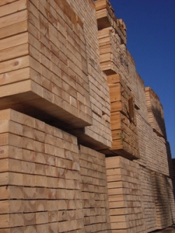 Schnittholz Schnittholz