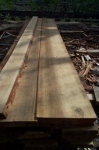 Siberian Larch - Unedged goods Siberian Larch - Unedged goods