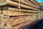 Siberian Larch - Unedged goods Siberian Larch - Unedged goods
