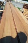 Siberian Larch - Unedged goods Siberian Larch - Unedged goods