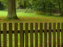 Gardenwood Gardenwood